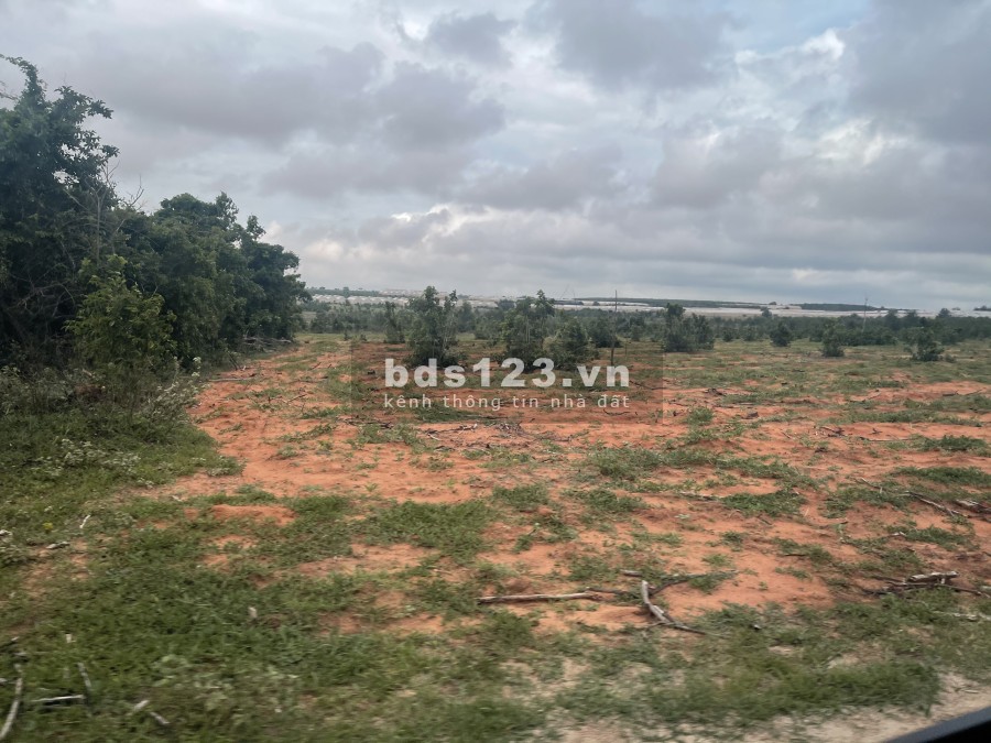 Cần bán lô đất Bình Thuận tại Sông Luỹ 1.4Ha Cận lộ Giáp Dân bàn giao đủ giấy tờ