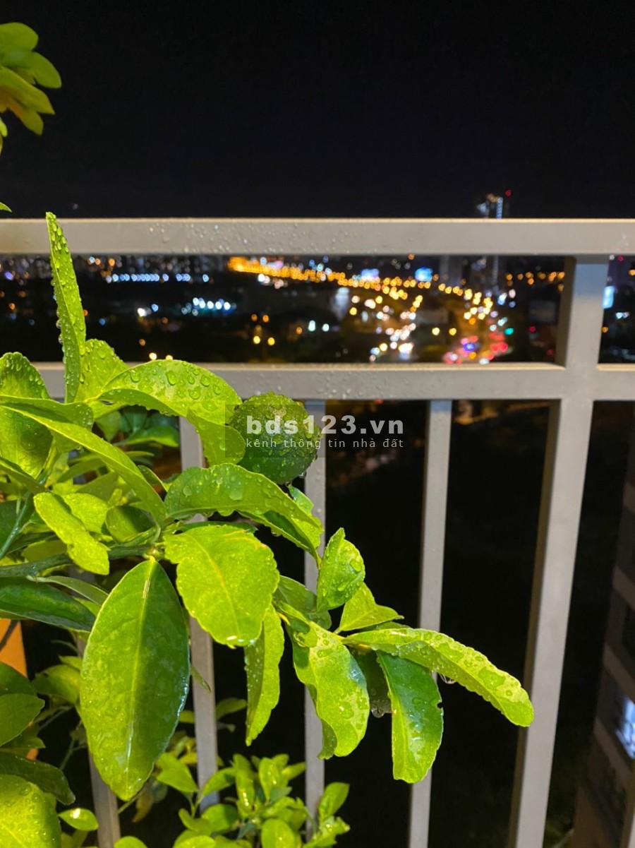 Căn hộ The Sun Avenue 2PN giá 4 tỷ 50tr giá còn thương lượng cho khách mua nhanh. LH 0907978771