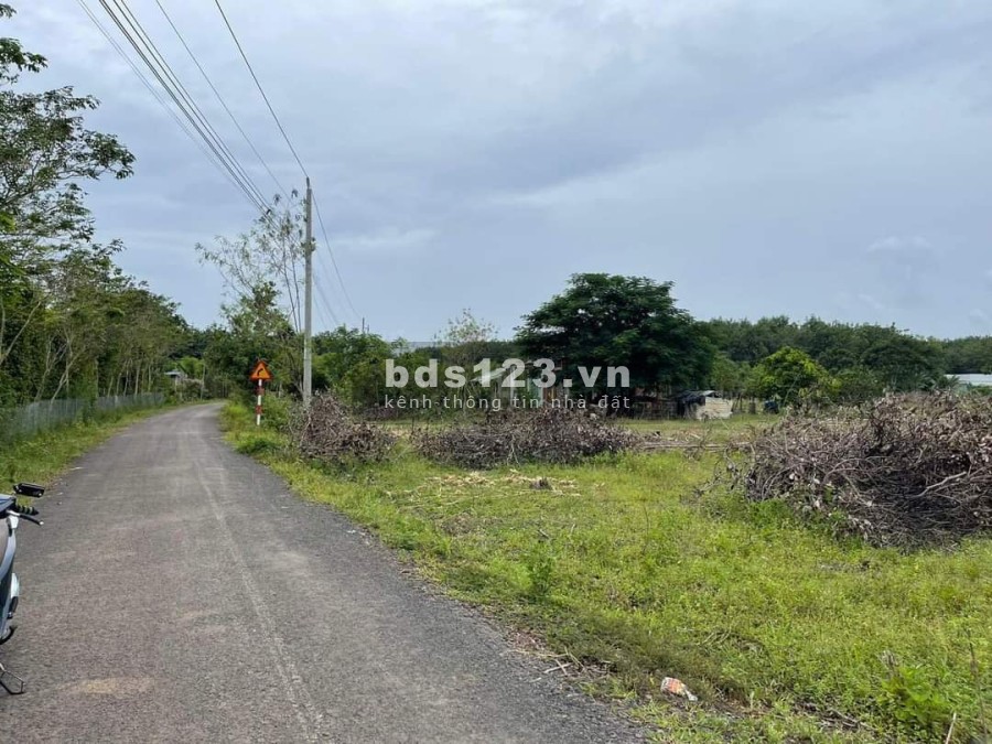 Cần bán gấp lô đất sào 1000m2 giá rẻ nhất thị trường, chỉ 500 triệu đầu tư sinh lời