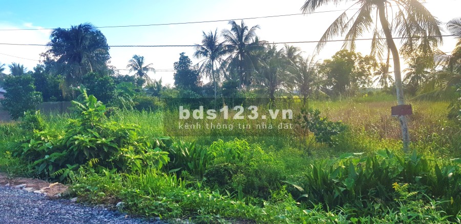Bán Đất Vườn diện tích sử dụng 2500m2 giá bán 2ty5 diện tích sử dụng 1000m2