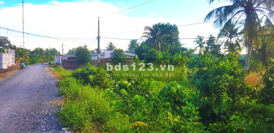 Bán Đất Vườn diện tích sử dụng 2500m2 giá bán 2ty5 diện tích sử dụng 1000m2