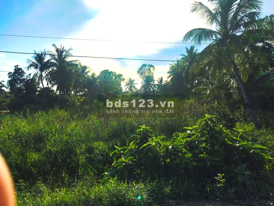 Bán Đất Vườn diện tích sử dụng 2500m2 giá bán 2ty5 diện tích sử dụng 1000m2