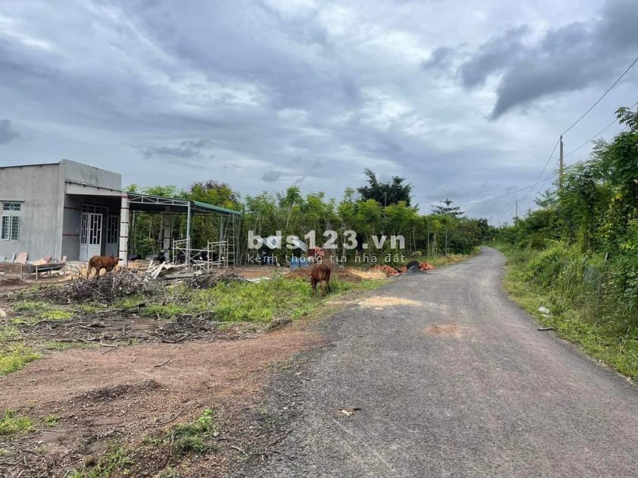 Cần bán gấp lô đất sào 1000m2 giá rẻ nhất thị trường, chỉ 500 triệu đầu tư sinh lời