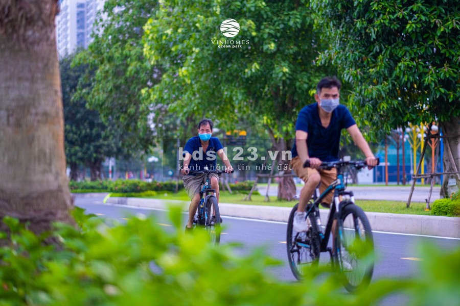 Cho thuê căn hộ từ 1PN đến 3PN tại Vinhomes Ocean Park Gia Lâm, giá được cập nhật hàng ngày
