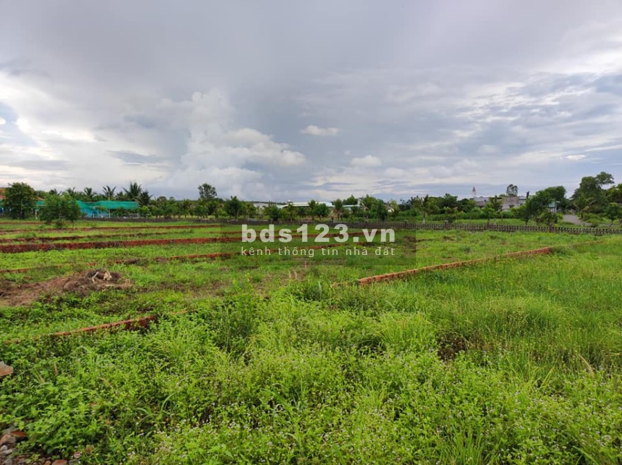 Chủ kẹt gửi bán gấp 3 lô đất nền Hồ Tràm giá tốt liên hệ 0388299904