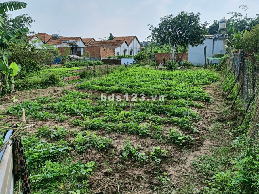 9000m2 đất giáp hồ Trị An mặt tiền đường ngay trung tâm Định Quán, ngân hàng hỗ trợ vay