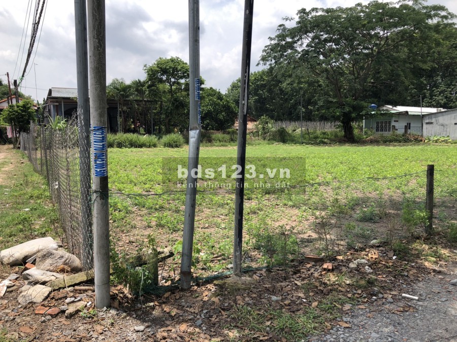 Bán đất thổ cư, vuông vắn, đẹp thổ cư 300m2, pháp lý chính chủ
