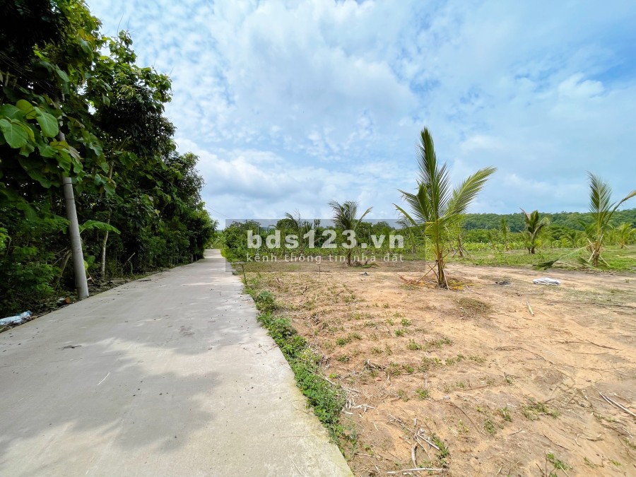 Đất ngay thị trấn định quán vị trí đẹp, giá tốt