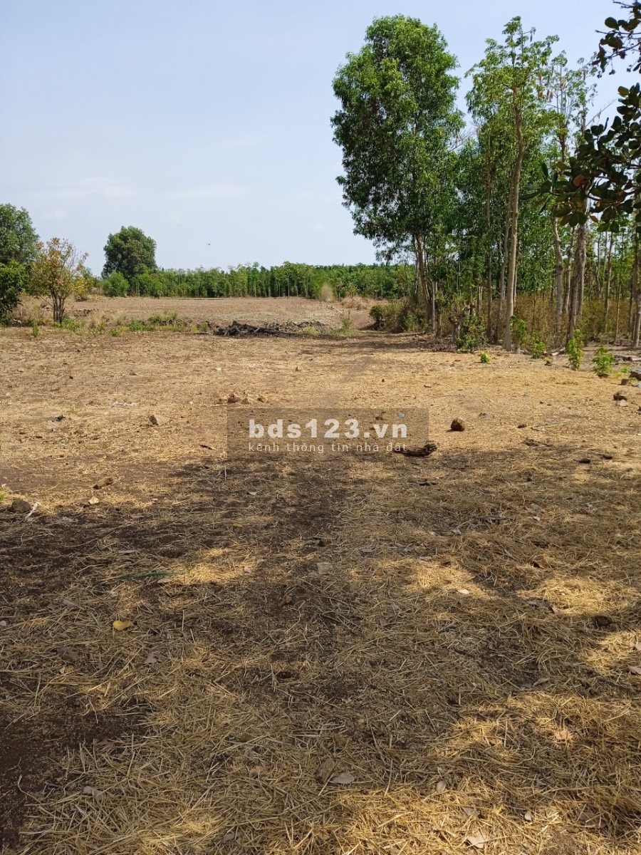 Cần tiền bán gấp lô đất tại Lam San, Cẩm Mỹ, Gần KDL Hồ…