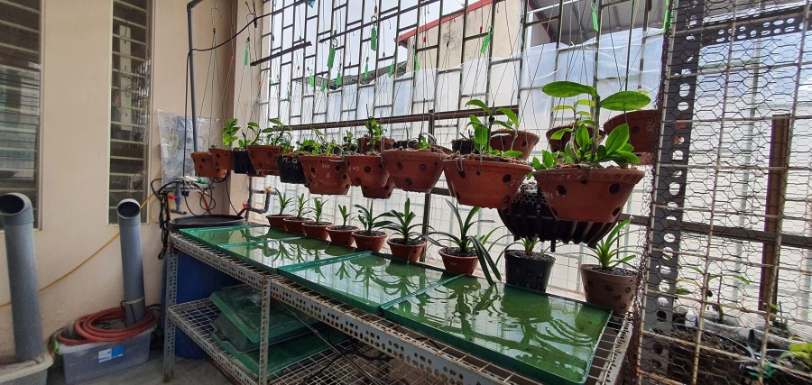Bán nhà mặt phố Bạch Thái Bưởi dt 55m2, kinh doanh giá tốt nhất khu vực