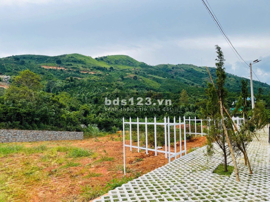 Đất Nền đã có sổ có thổ cư Bảo Lộc, sở hữu vị trí đẹp với 2 View đồi và thung lũng