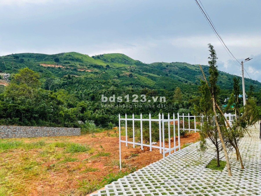 Đất nền thổ cư Bảo Lộc, sổ hồng sẵn từng lô, có ngân hàng cho vay, hỗ trợ lãi 12 tháng.