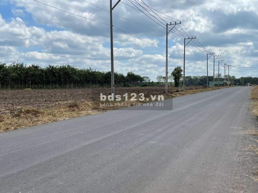 Lời ngay 100tr khi mua lô đất này 10 x 100 mặt tiền đường nhựa 32m