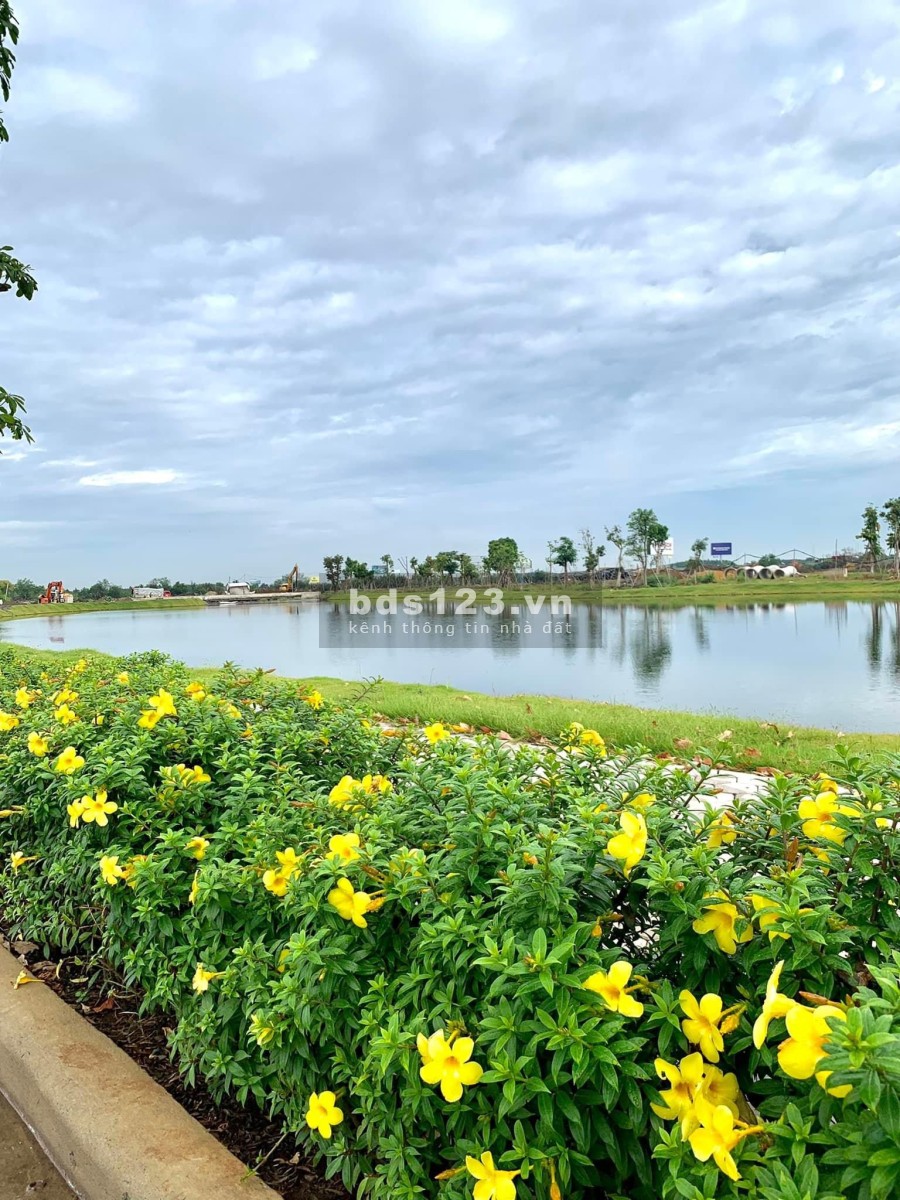Chính chủ cần bán BT đơn lập view hồ giá giai đoạn 1 khu sunrise dự án ID Junction 0925246246