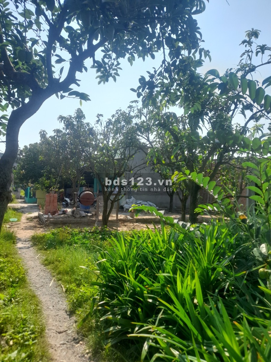 Bán đất Đức Hòa 100m2 800tr có sổ sẵn thổ cư 100% , liên hệ coi đất