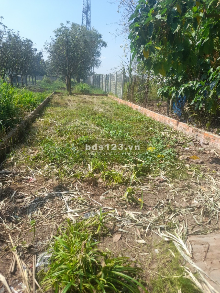 Bán đất Đức Hòa 100m2 800tr có sổ sẵn thổ cư 100% , liên hệ coi đất