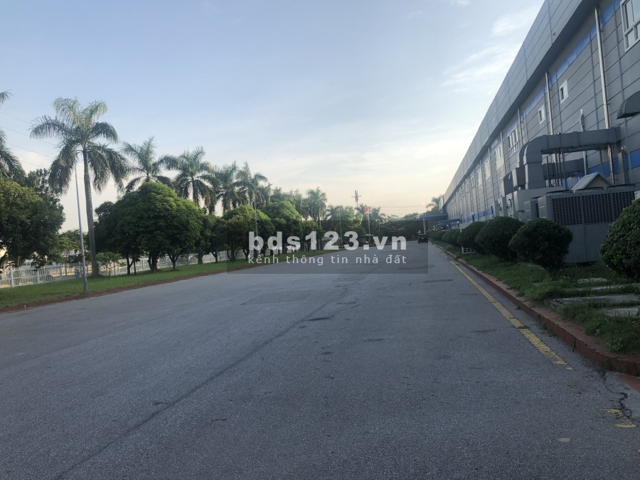 Cho thuê xưởng chính chủ tại khu công nghiệp Yên Phong DT 500 - 4000m2, giá 4.5$/m2