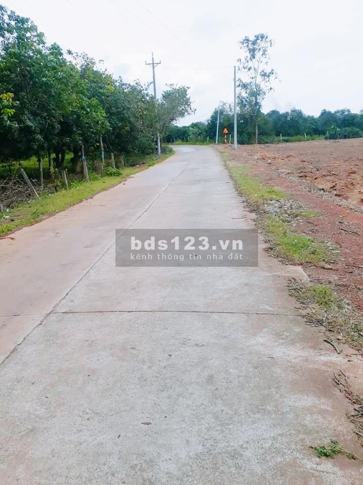 Chính Chủ gửi bán 4 sào đất tại Bình Phước giá tốt đầu tư sinh lời cao