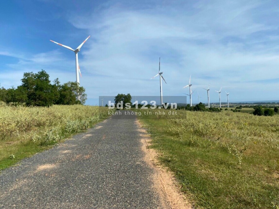 Đất Bình Thuận chính chủ view biển mặt tiền đường nhựa trong khu Farmstay đường lớn