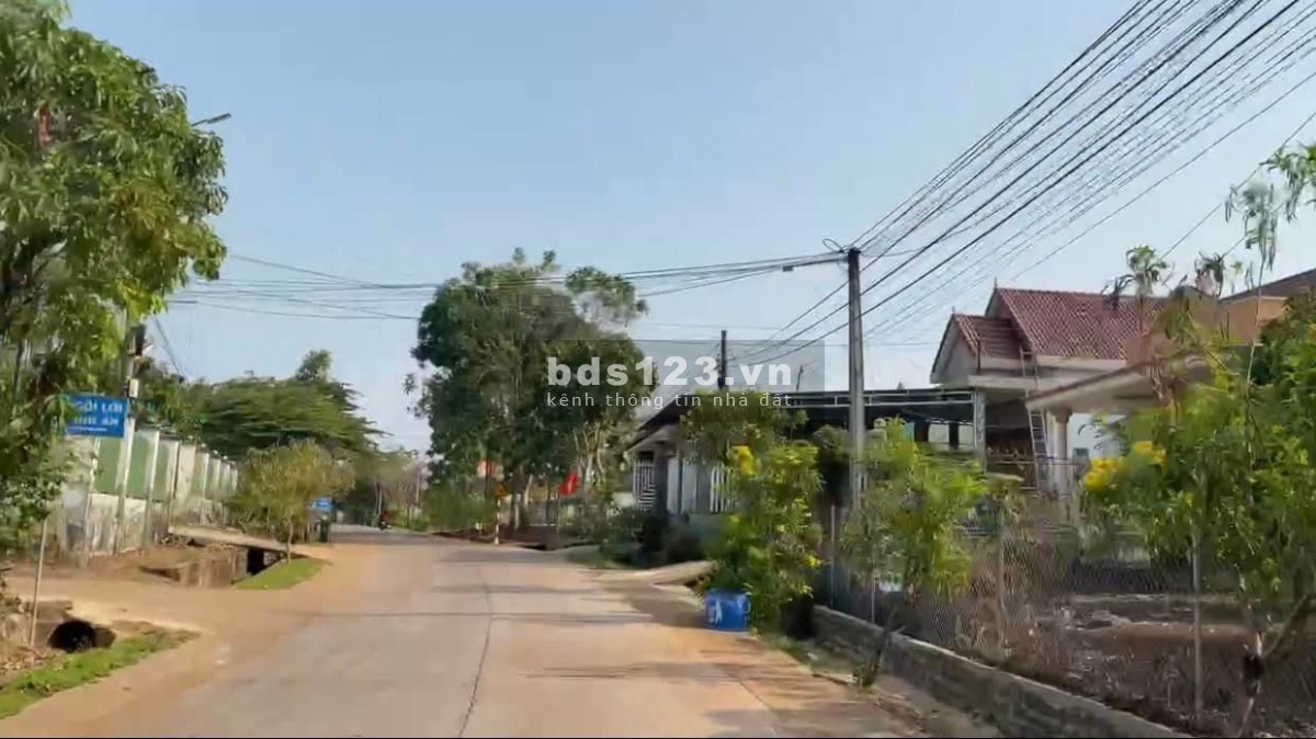 Chính chủ bán vườn trái cây 1000m2 công chứng ngay, sổ hồng riêng