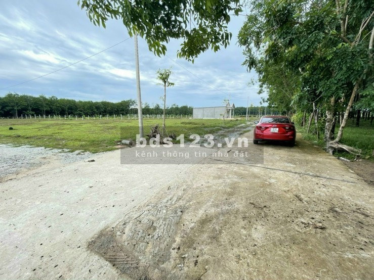 Bán đất chính chủ sổ hồng sẵn ở Quảng Minh Chơn Thành Bình Phước