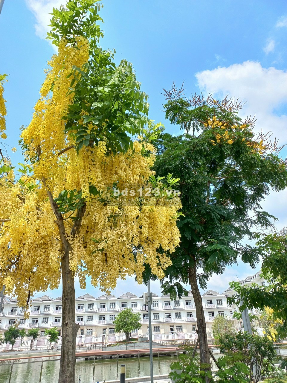 Bán căn biệt thự liền kề khu Green Star Sky Garden Quận 7 giá bán 23 tỷ
