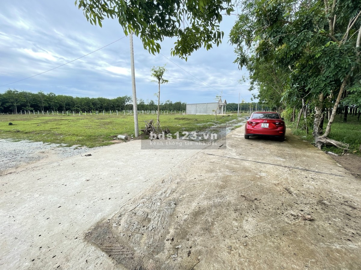 Còn lô đất Bình Phước cuối 5x50, sổ hồng sẵn, có 100m2 thổ cư, vị trí tiện lợi nằm trong khu dân cư