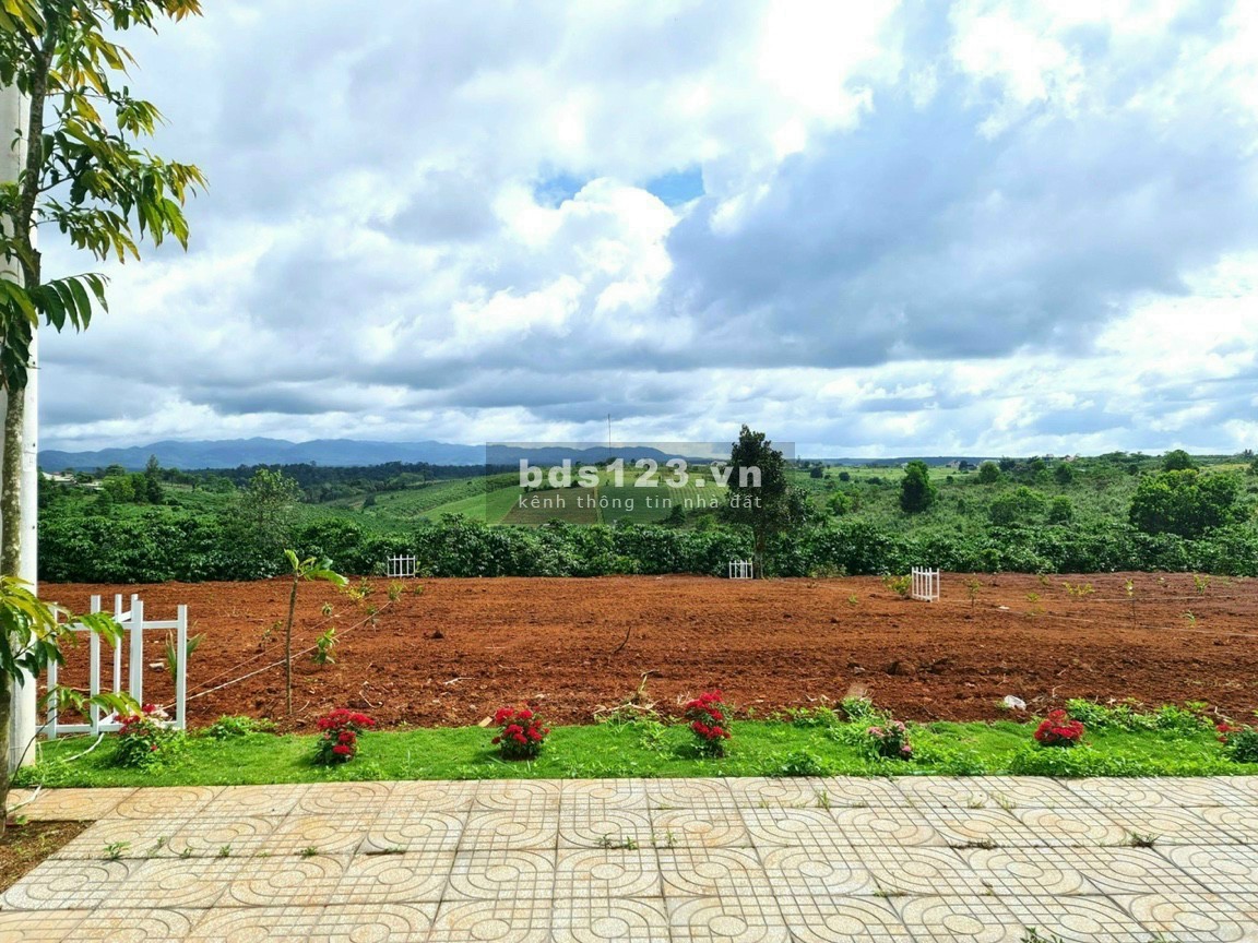 Đầu Tư Đất Nền Nghỉ Dưỡng Bảo Lộc, vị trí đắc địa mặt tiền Lý Thái Tổ (Ngay Thác ĐamBri), Giá Sốc