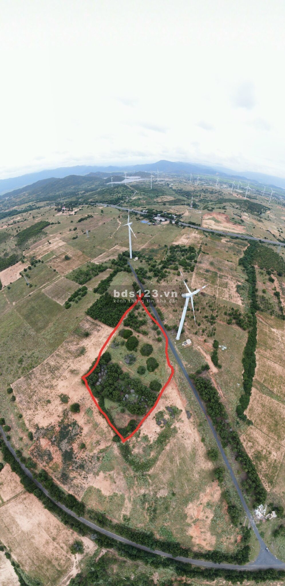 Đất Tuy Phong chính chủ view biển mặt tiền đường nhựa trong khu Farmstay giá rẻ đầu tư