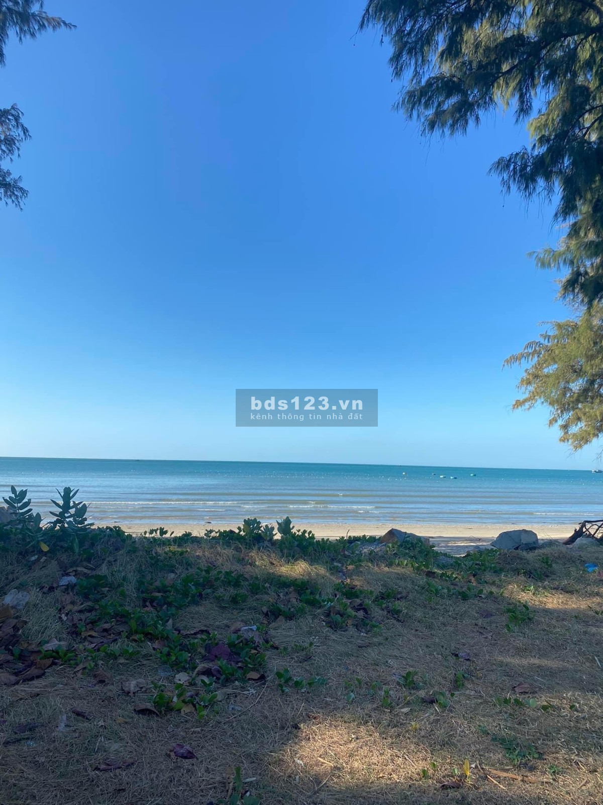 Đất Tuy Phong chính chủ view biển mặt tiền đường nhựa trong khu Farmstay giá rẻ đầu tư