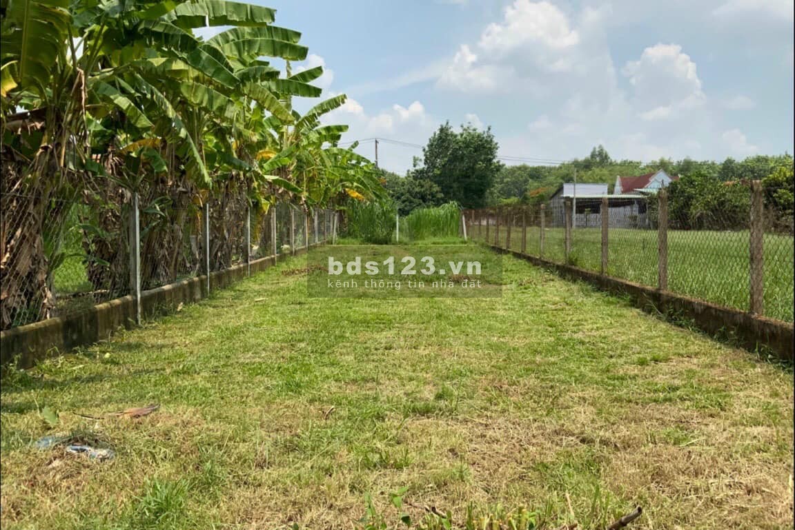 Cần tiền làm ăn nên bán gấp lô đất đường Nguyễn Thị Rành, Nhuận Đức, Củ Chi