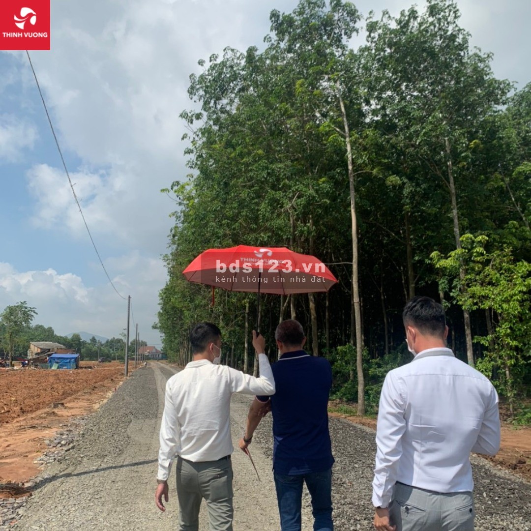 Bán lô đất nền 1025m2 tại Phước Bình Long Thành Đồng Nai, mặt tiền đường nhựa