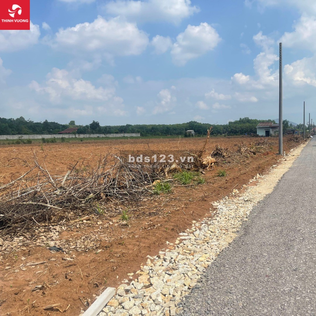 Bán lô đất nền 1025m2 tại Phước Bình Long Thành Đồng Nai, mặt tiền đường nhựa