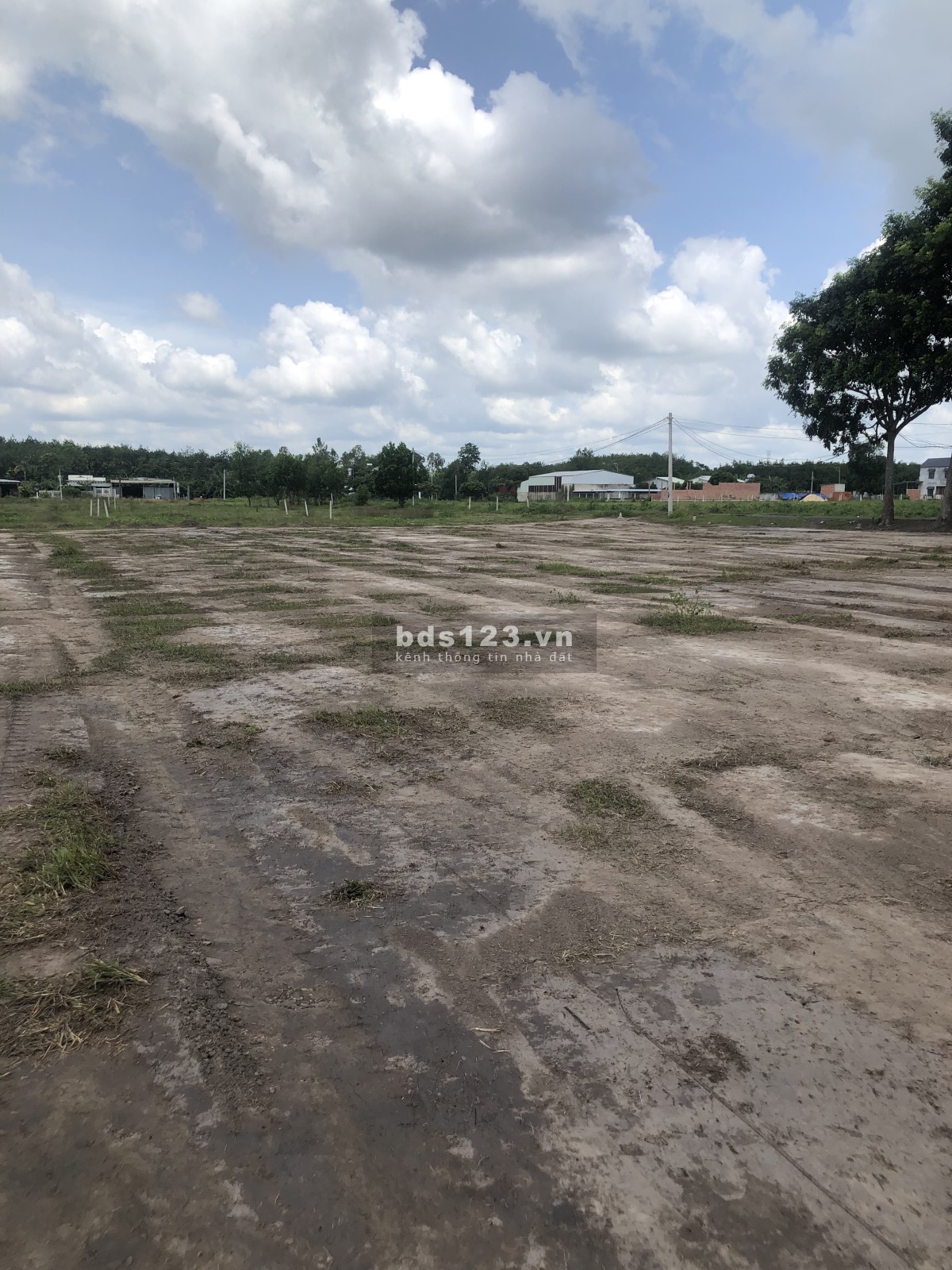 Cần bán gấp lô đất, vị trí thuận lợi khu dân cư hiện hữu, giá đầu tư sinh lời