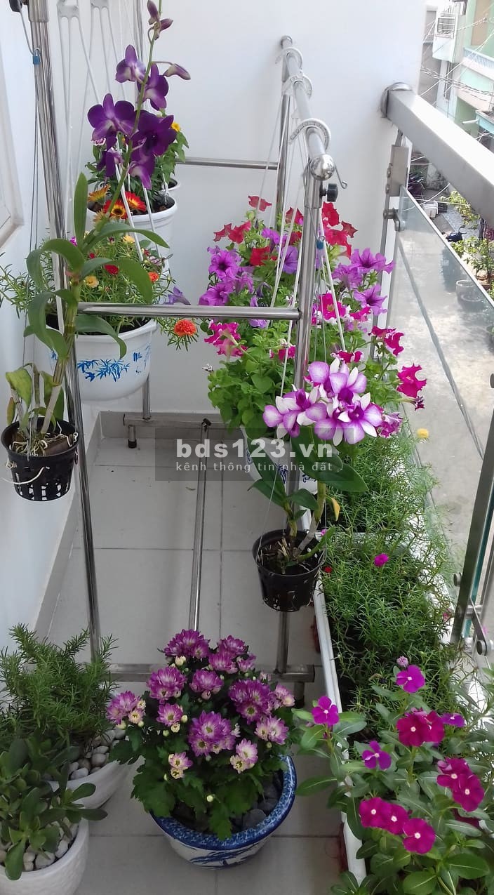 Bán gấp nhà 6 tầng 38m² trung tâm Quận Tân Phú, có sổ hồng full nội thất