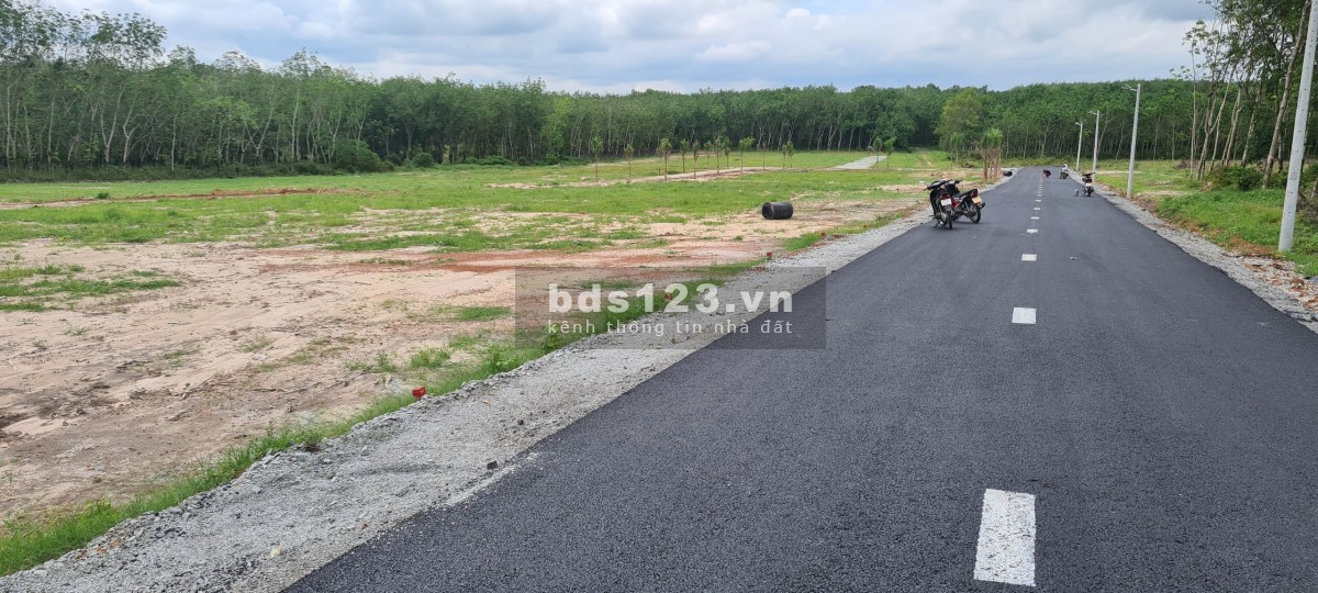 Cần bán gấp lô đất, vị trí thuận lợi khu dân cư hiện hữu, giá đầu tư sinh lời