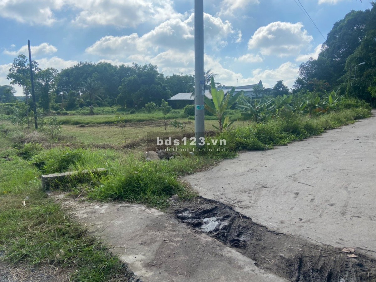 Chủ ngộp bán gấp đất vườn 522m2 sổ hồng riêng đường Nguyễn Thị Rãnh, xã Nhuận Đức, giá 1.65 tỷ