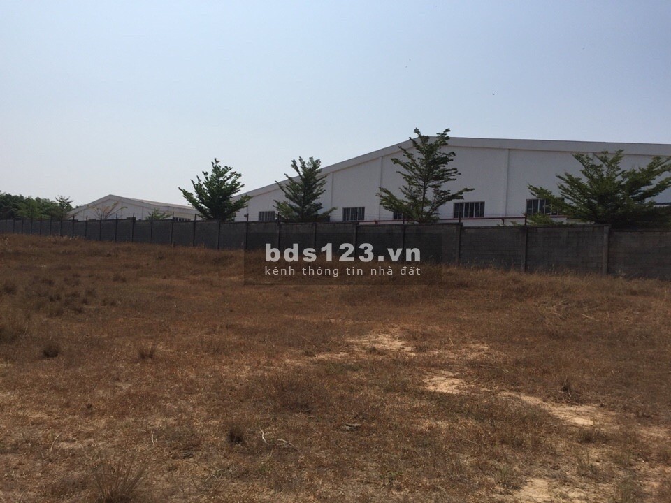 Cho thuê đất lớn*4,2ha trong khu công nghiệp Mỹ Xuân, Phú Mỹ, Bà Rịa Vũng Tàu
