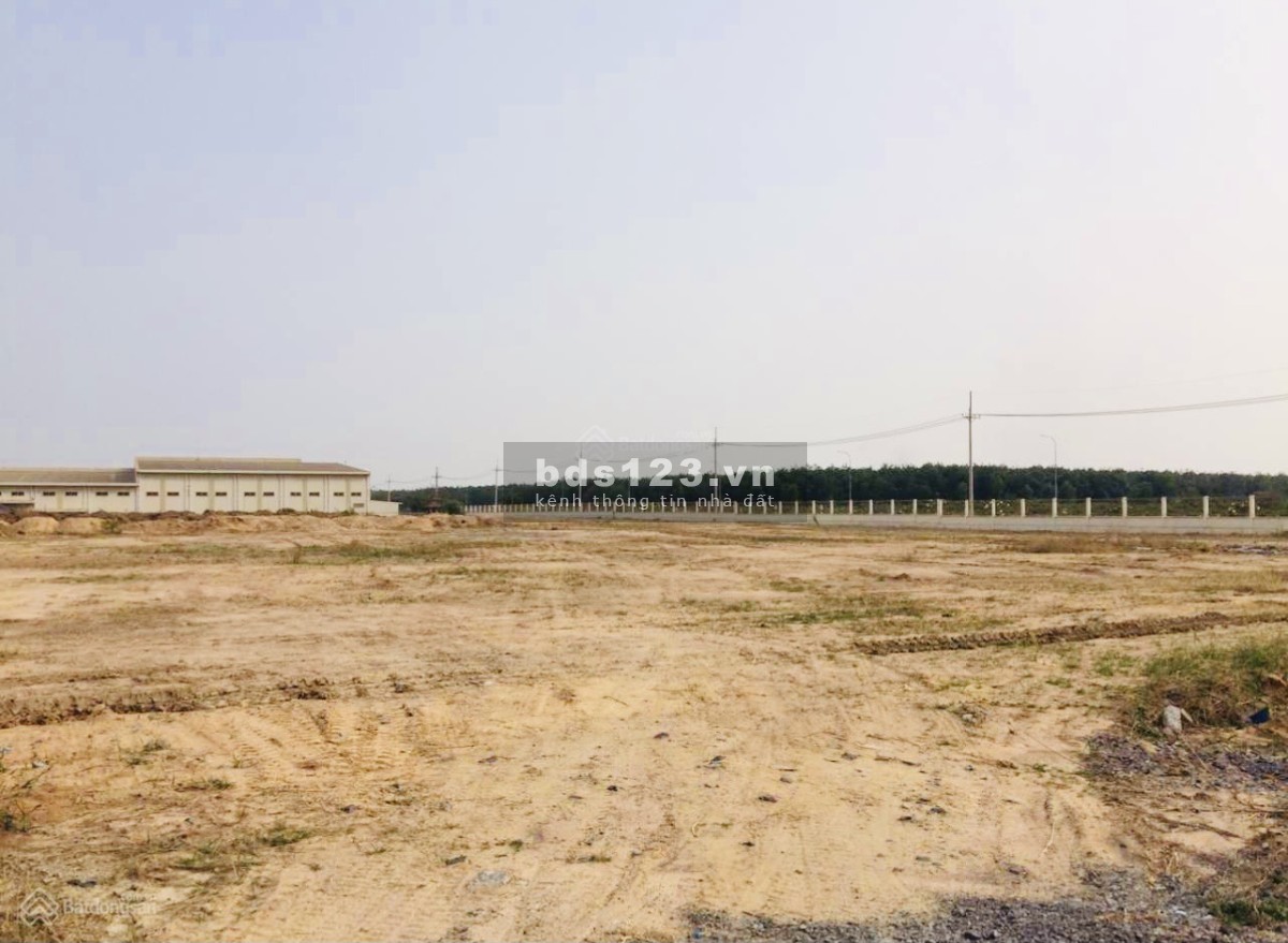 Cho thuê đất lớn*4,2ha trong khu công nghiệp Mỹ Xuân, Phú Mỹ, Bà Rịa Vũng Tàu