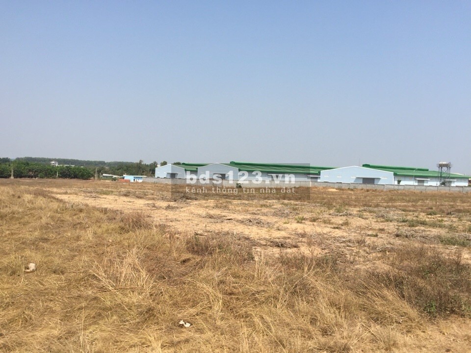 Cho thuê đất lớn*4,2ha trong khu công nghiệp Mỹ Xuân, Phú Mỹ, Bà Rịa Vũng Tàu