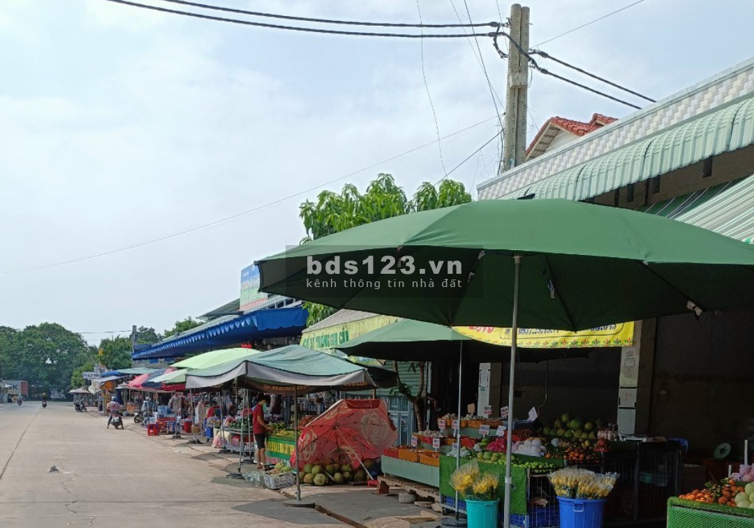 Tôi cần bán gấp lô đất chính chủ, sổ hồng riêng, thổ cư tự do xây dựng giá 1ty620