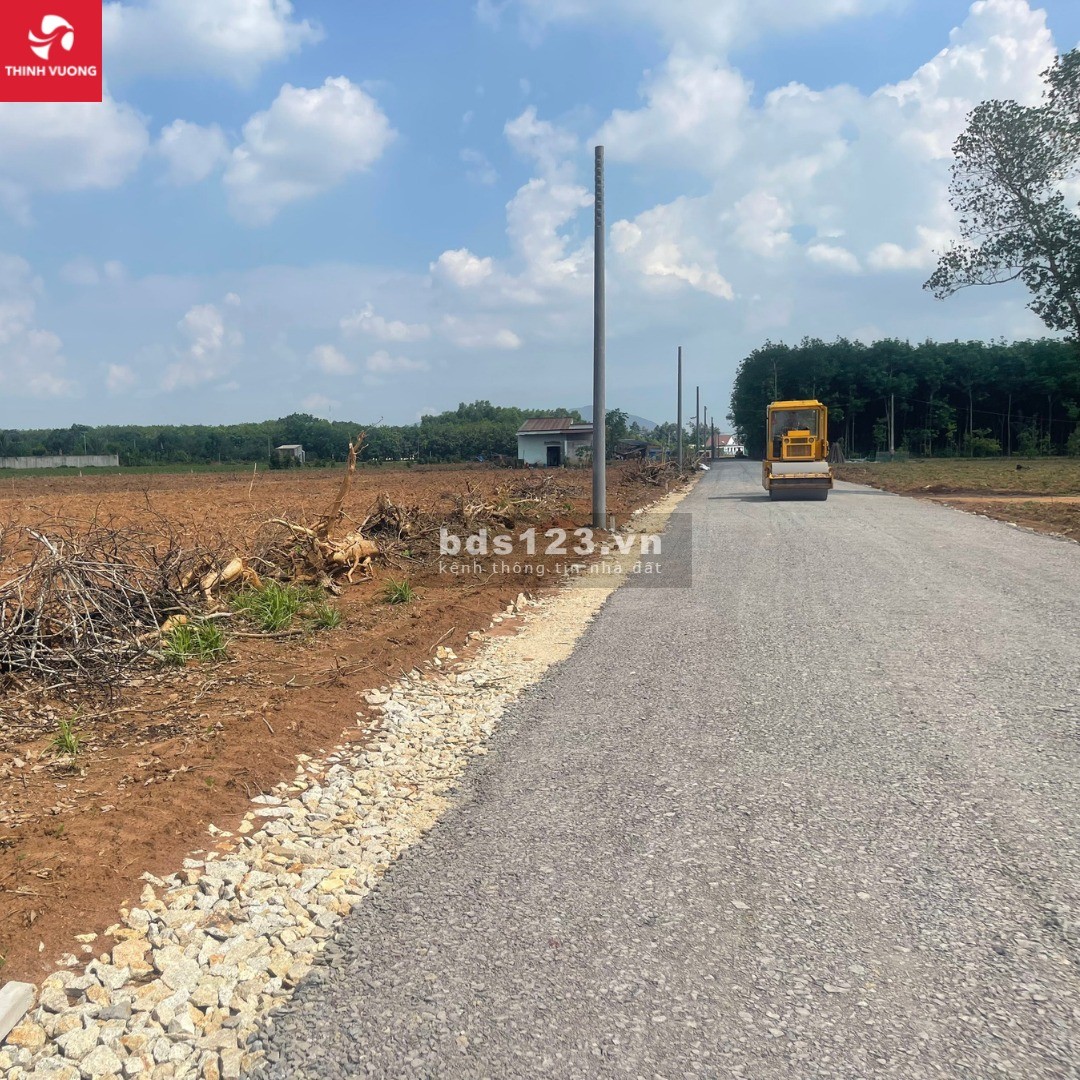[3.5tr/m2] Bán gấp lô đất trên 1000m2 tại Phước Bình- Long Thành- Đồng Nai/ đất mặt tiền đường nhựa