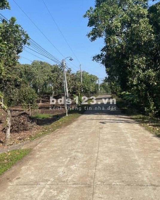 Lô 6x25m, 100% Thổ Cư cách QL20 khoảng 2km Ấp 2, Phú Tân, Định Quán
