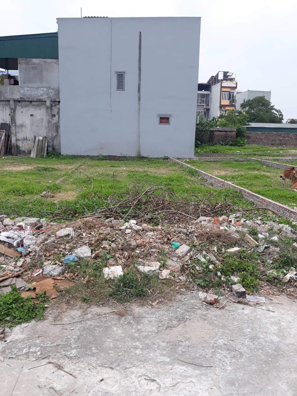 Bán đất đấu giá X5 Lương Quy, Xuân Nộn, Đông Anh giá 4X (X nhỏ) lh 0904959286