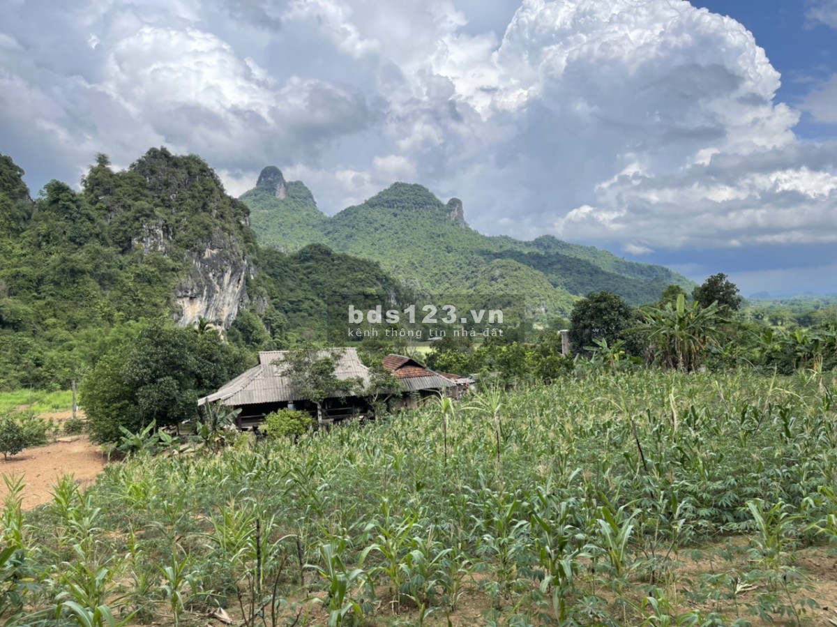 Bán đất view đẹp giá rẻ chỉ hơn 400 nghìn/m2, tại Mỹ Hoà, Tân Lạc, Hoà Bình, lh 0982876689