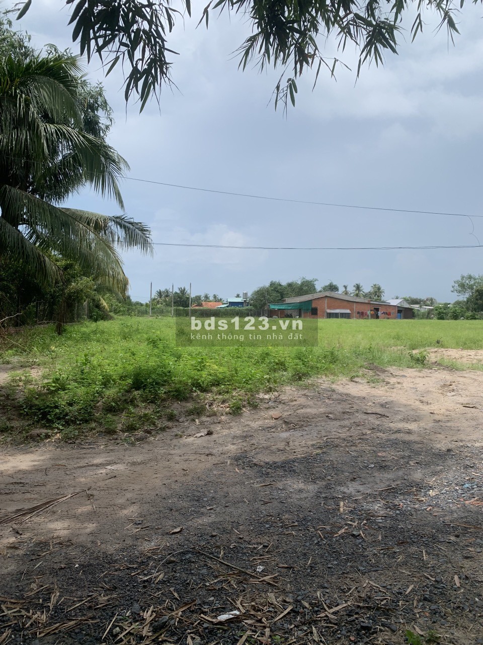 Bán đất thổ cư Dương Minh Châu Tây Ninh. dt 300m giá đầu tư. ngang 5m sâu 40 đến 60