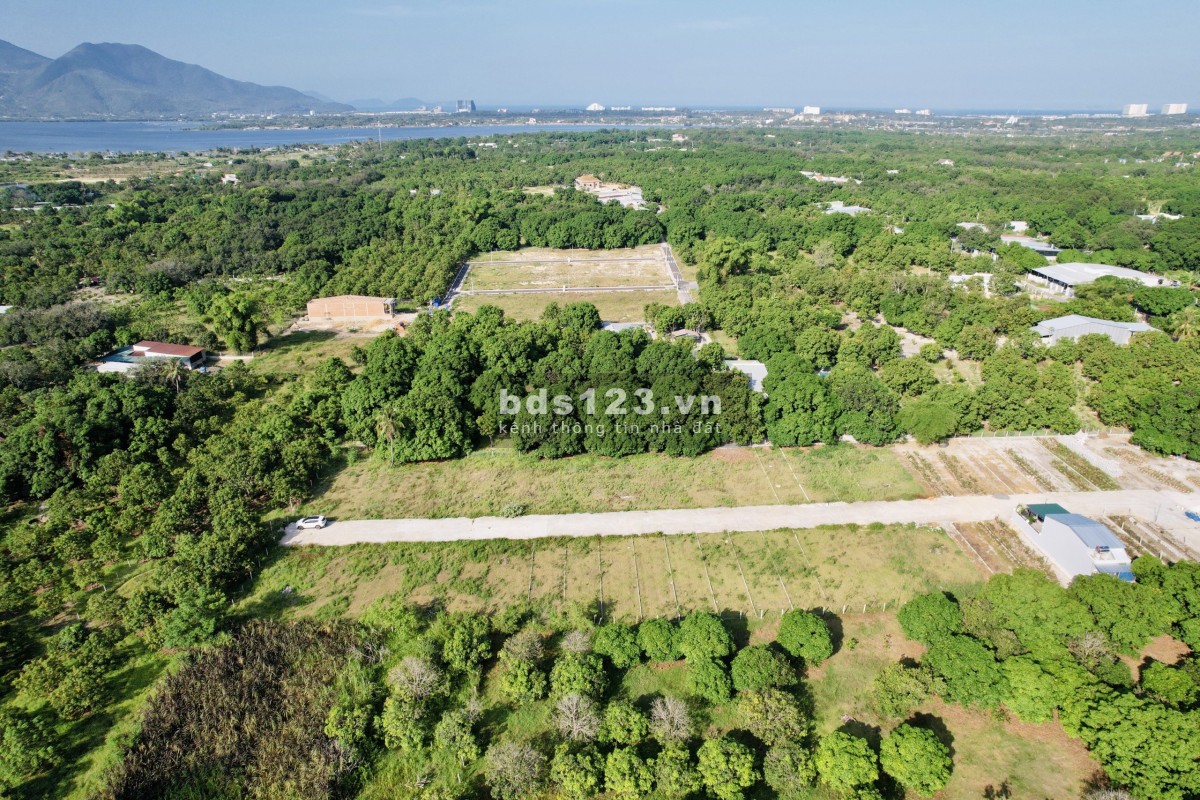 Bán đất Cam Hải Tây cách QL1A chỉ 100m về hướng Đầm mặt đường 8m full thổ cư giá ngộp