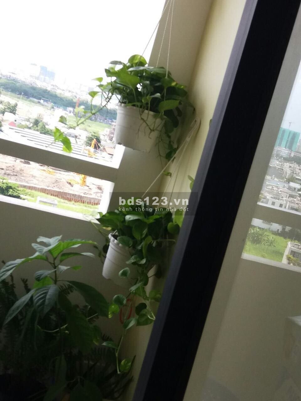 Bán căn hộ 1PN giá tốt thị trường Quận 7 có sổ hồng riêng, bàn giao ngay