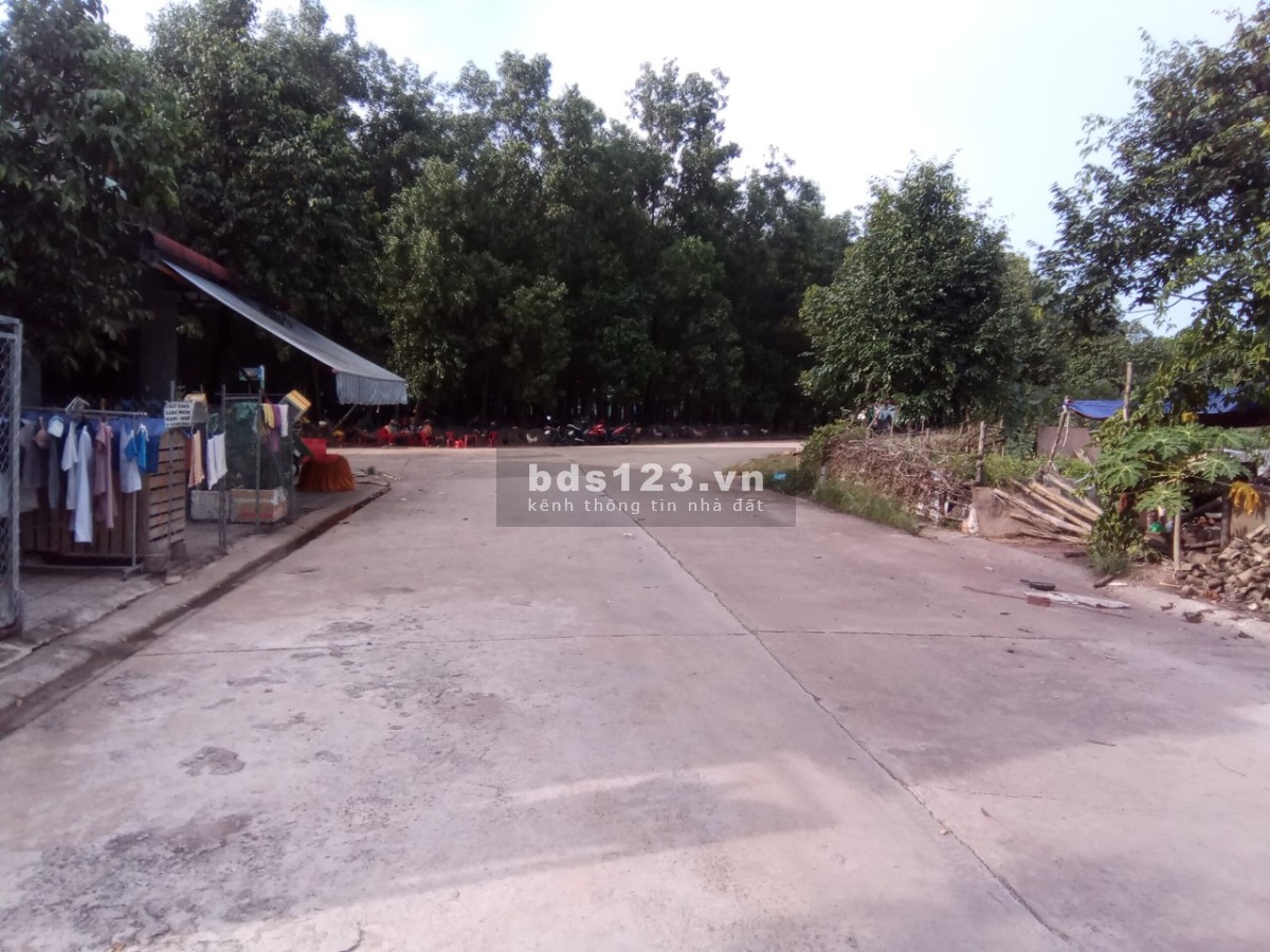Đất thổ cư ngay đầu khu ĐT Mỹ Phước 300m2 SHR chính chủ cần bán gấp