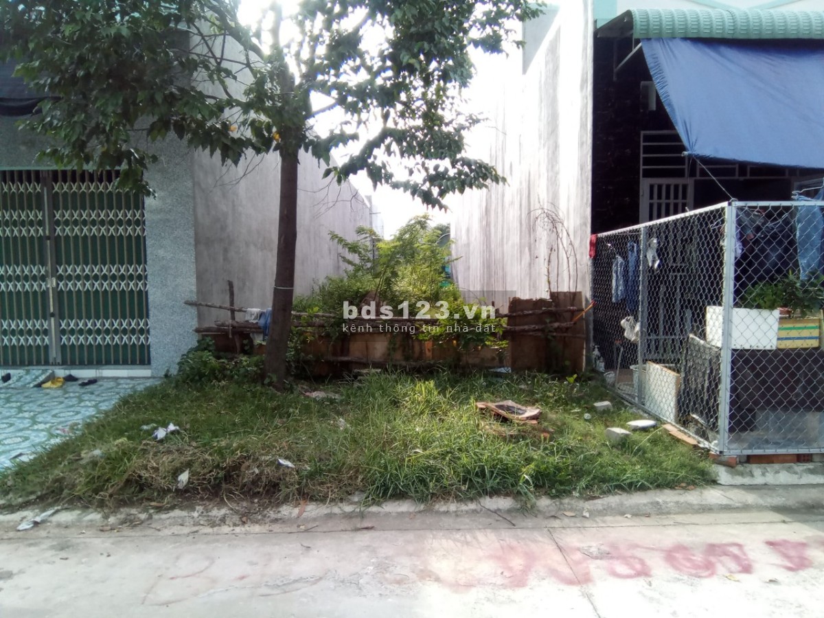 Đất thổ cư ngay đầu khu ĐT Mỹ Phước 300m2 SHR chính chủ cần bán gấp